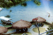 Olman's View Resort
