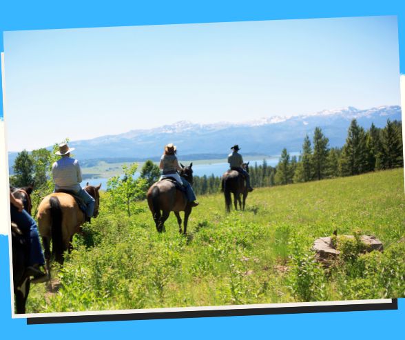 Gallop into Adventure: Horseback Riding & Equestrian Delights! 🏞️🐴