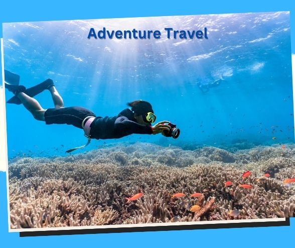 Discover the Depths: Diving Adventures in the Great Barrier Reef Await